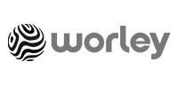 Worley-BW